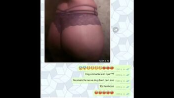 Chat turbe latina