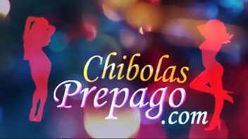 Chibolas .com