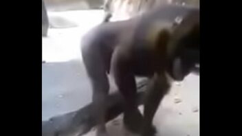 Monos follando