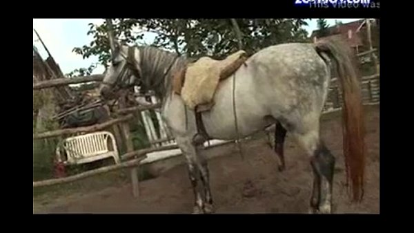 Horse And Man Ladies Xxxx Video - 1 man 1 horse - Videos XXX | Porno Gratis