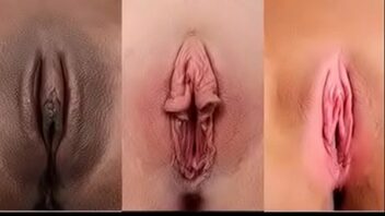 Diferentes tipos de vajinas