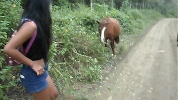 Horse cum