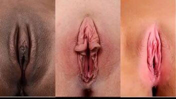 Vaginas de morenas