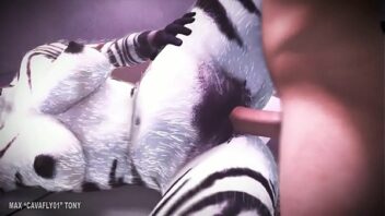 Zebra porn
