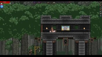 Starbound game