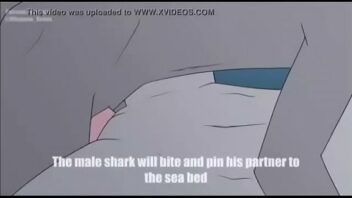 Animación shark
