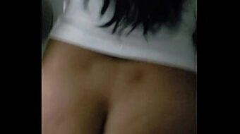 Nalgona syarli